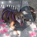 Profile Picture of Sherri Wicks Anderson (@g8tergirl2) on Instagram