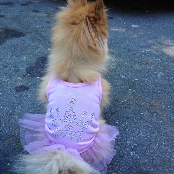 Jessica Hitzler - Poshmark Profile Picture of Jessica Hitzler (@jess18235) on Poshmark