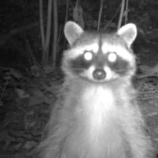 Profile Picture of 𝕰𝖉𝖜𝖆𝖗𝖉 𝕬𝖓𝖉𝖗𝖊𝖎𝖈𝖍𝖎𝖐 (@edward_egg) on Instagram