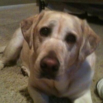 Profile Picture of Jim Wiener (@ladcojim) on Twitter