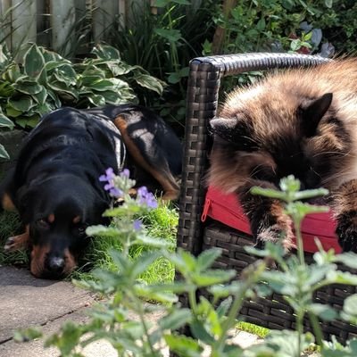 Profile Picture of Stacey Avery (@avery_stacey) on Twitter