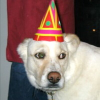 Profile Picture of Jonah Goldberg (@JonahDispatch) on Twitter