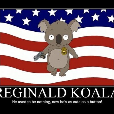 Profile Picture of Matthew Hathaway (@ReggieTheKoala) on Twitter