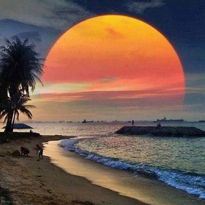 Profile Picture of Camelia Popa (@CameliaPopa4) on Twitter