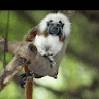 Max Charles - Quora Profile Picture of Max Charles (@max-charles-51) on Quora