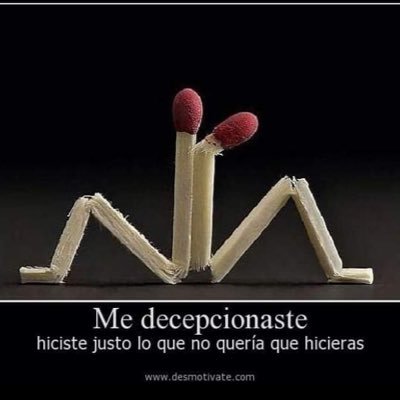 BERNARDO CLEMENTE - Twitter Profile Picture of BERNARDO CLEMENTE (@BERNARD35709253) on Twitter