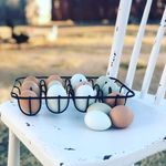 Profile Picture of Megan Fowler (@cluckin_crazy) on Instagram