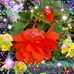 Profile Picture of Brenda Button (@brenda.button.98499) on Facebook