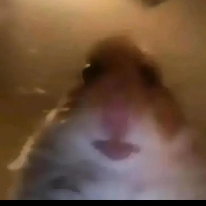 ✨KALEIGH🥱 - Tiktok Profile Picture of ✨KALEIGH🥱 (@kaleigh.hines) on Tiktok