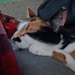 Lex Barnes - Facebook Profile Picture of Lex Barnes (@Lex-Barnes) on Facebook