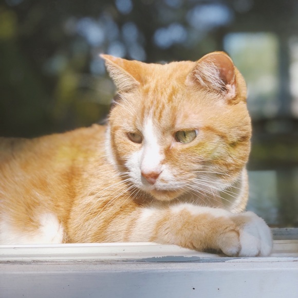 Profile Picture of Wendy Gruselle (@vvendyg) on Poshmark