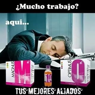 Profile Picture of Paula Pino (@paulapino7) on Twitter