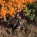 Profile Picture of Patrick Casey (@patrick.casey.94651) on Facebook