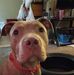 Profile Picture of Brian Albaugh (@Brian-Albaugh) on Facebook