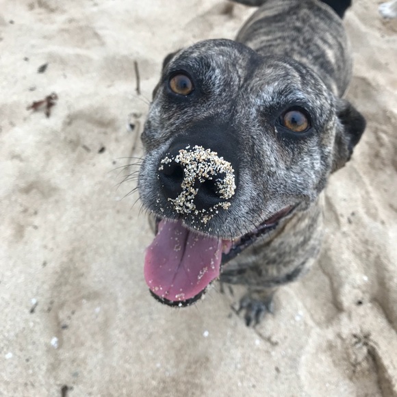 Profile Picture of Julia Balousek (@julesgabrielle) on Poshmark