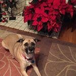 Profile Picture of Maria Kuhns (@kyledinje5) on Instagram