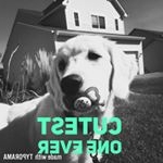 Grace - Instagram Profile Picture of Grace (@gcurrier21) on Instagram