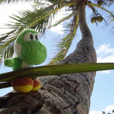Profile Picture of Al Baum (@joneshi) on Twitter