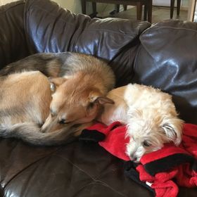 Profile Picture of Kristina Gordon (@lilysmama1109) on Pinterest