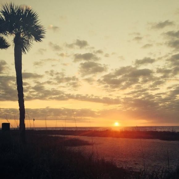 Angela Canfora - Poshmark Profile Picture of Angela Canfora (@amcanfora) on Poshmark