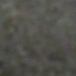 Profile Picture of H -- (@a v lowe) on Flickr