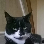 Profile Picture of Matthew Barnes (@matthewbarnes11) on Flickr