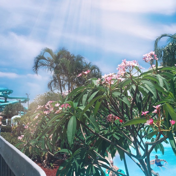 Profile Picture of Thi Phan (@quynh_ptnq) on Poshmark