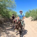 Profile Picture of Joshua David Kahanek (@jkfunkystuffmalone) on Instagram