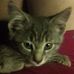 Profile Picture of Florence Tirell (@florence.tirell) on Facebook