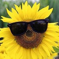 Profile Picture of Michele Ceffalo (@michele-ceffalo) on Quora