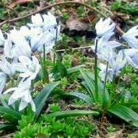 Profile Picture of Monica Dow (@monica-dow) on Quora