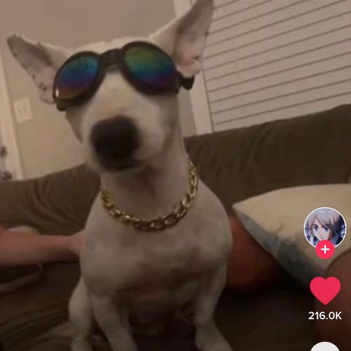 Profile Picture of joelgegfanpage (@joelgegfanpage) on Tiktok