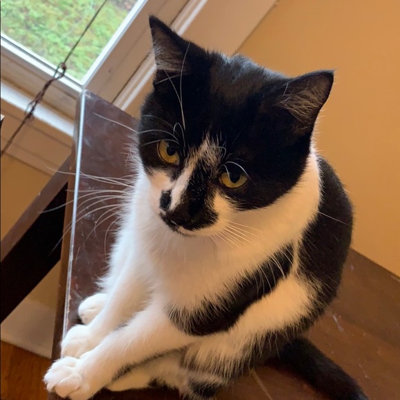 Profile Picture of Mitchell Schied (@mitchschied) on Poshmark