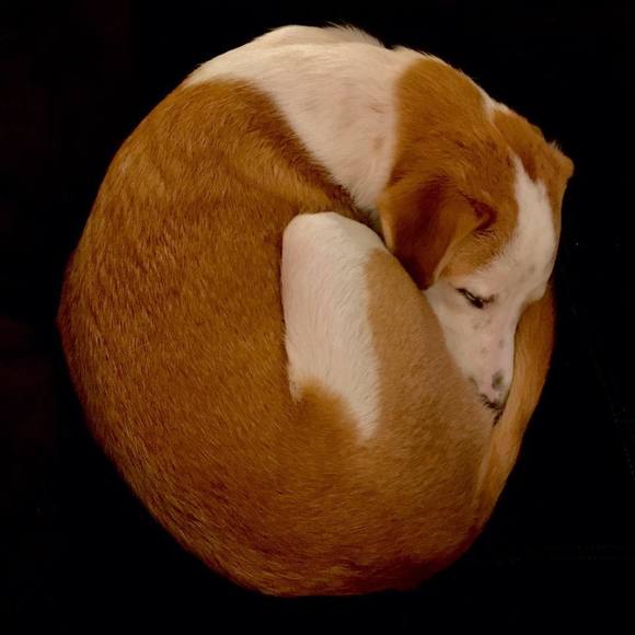 Profile Picture of Joel Knutson (@joel_knutson) on Poshmark