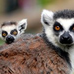 Savannah Frost - Instagram Profile Picture of Savannah Frost (@savannahfrost) on Instagram