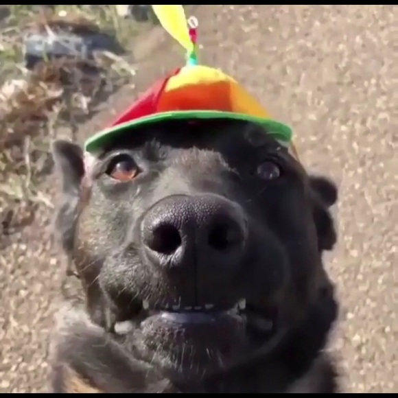 Profile Picture of Kevin Tirado (@kevint99) on Poshmark