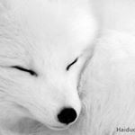 Profile Picture of Hamy Dinh (@hamy.dinh.79) on Instagram