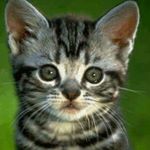 jeremypavia - Instagram Profile Picture of jeremypavia (@jerem.pavia) on Instagram