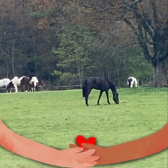 Jill Scibelli - Poshmark Profile Picture of Jill Scibelli (@jillhalo) on Poshmark