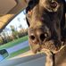 Profile Picture of Trevor Schrock (@trevor.schrock.777) on Facebook