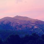 Profile Picture of Matthew Eardley (@hey_its_m477y) on Instagram