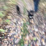 Profile Picture of Chris Kazmierczak (@chris.kazmierczak.568) on Facebook