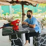 Profile Picture of Sophee Jane Apilando (@sopiaya_) on Instagram