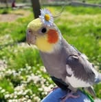 Profile Picture of Hadil Kali (@hadil.kali) on Facebook