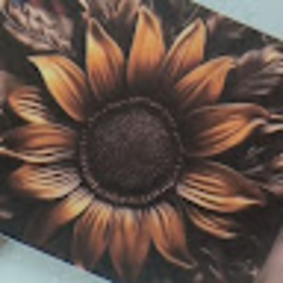 Profile Picture of Jeanene Determan (@jlynn1679) on Poshmark