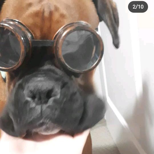 Profile Picture of Candace (@candacegott) on Tiktok