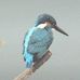 Profile Picture of Cheryl Kraft (@cheryl.kraft.14) on Facebook