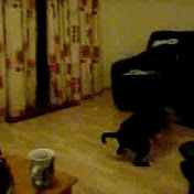 Profile Picture of Shirley Stakem (@ShirleyStakem) on Youtube