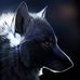 Profile Picture of Jeremy Klopp (@Jeremy-Klopp) on Facebook