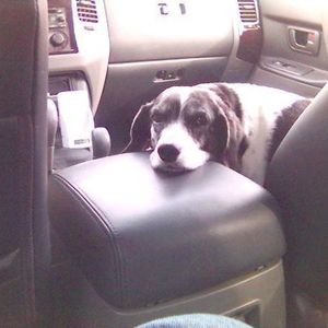 Profile Picture of Tim Donahue (@count55) on Myspace